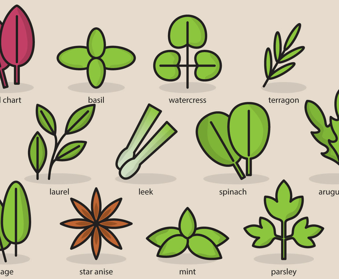 Cute Plant Icons
