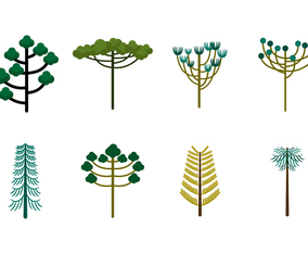Free Araucaria Trees Vector
