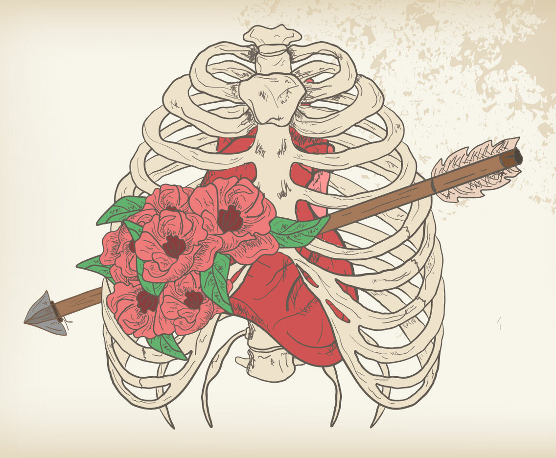 Rib Cage Vector