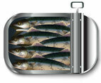 Mackerel Vector