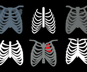 Ribcage Vector