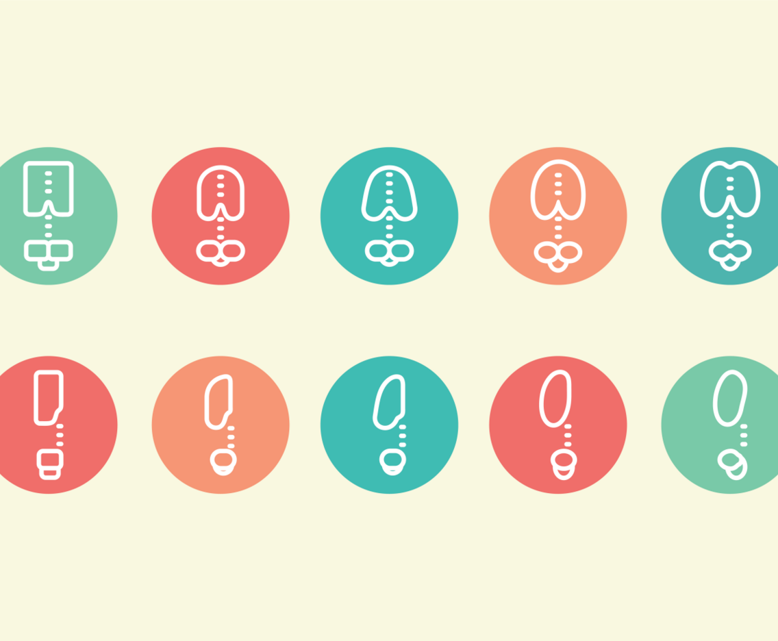 Ribcage Pictogram Icons