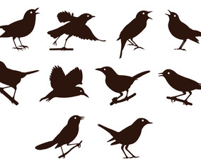 Nightingale Silhouettes Vector