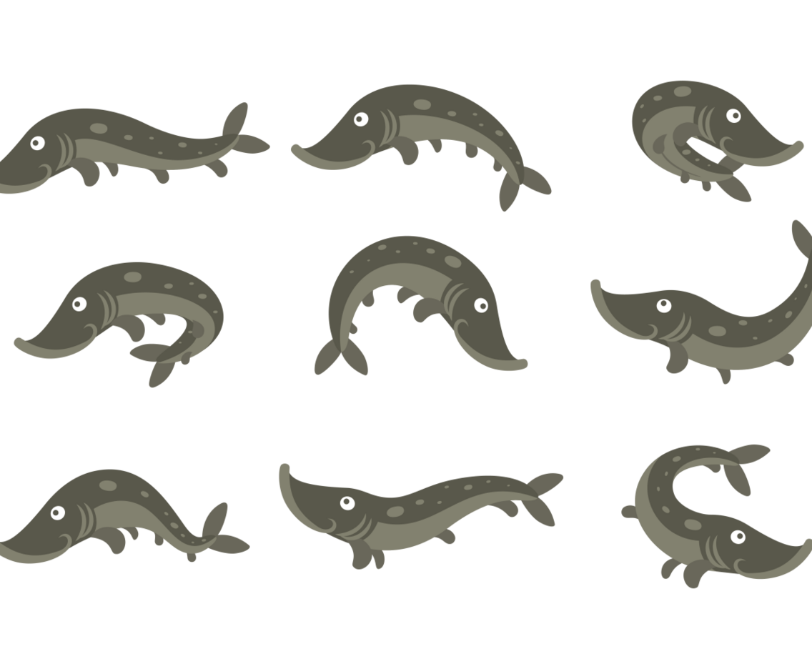 Pike Cartoon Vector
