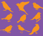 Orange Bird Silhouette Icons Vector