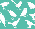 Free Bird Silhouette Icons Vector