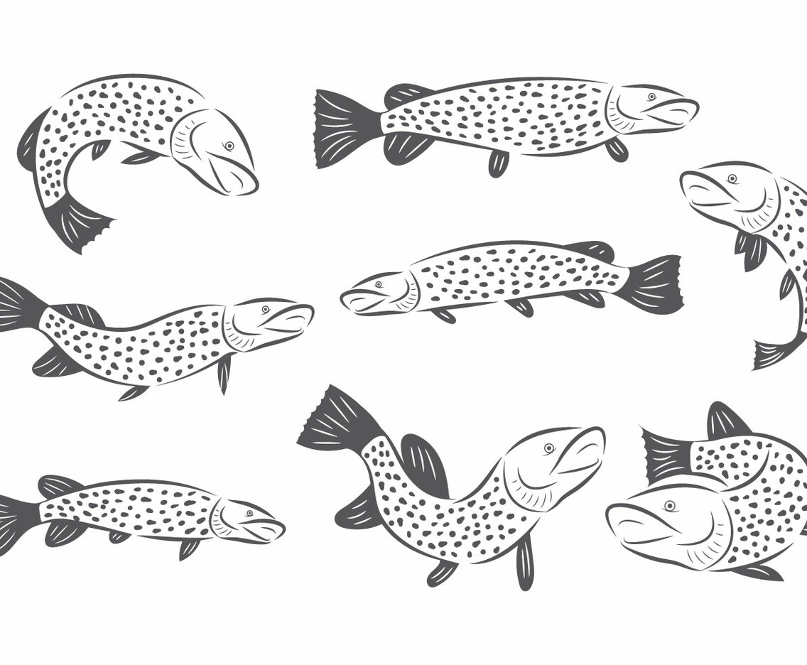 Free Pike Vector