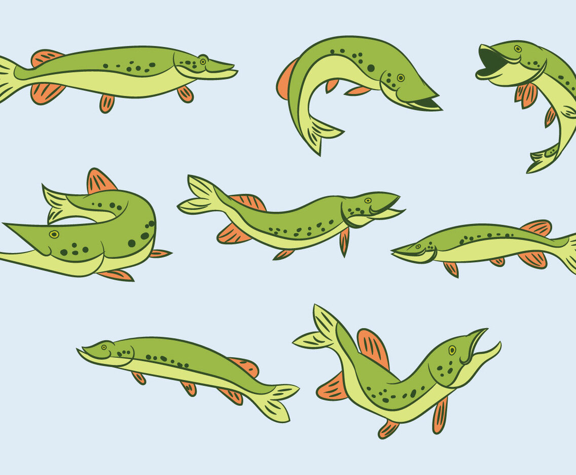 Free Pike Vector