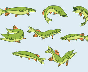 Free Pike Vector