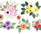 Vector Watercolor Floral Elements