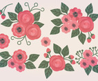 Vector Floral Compositions