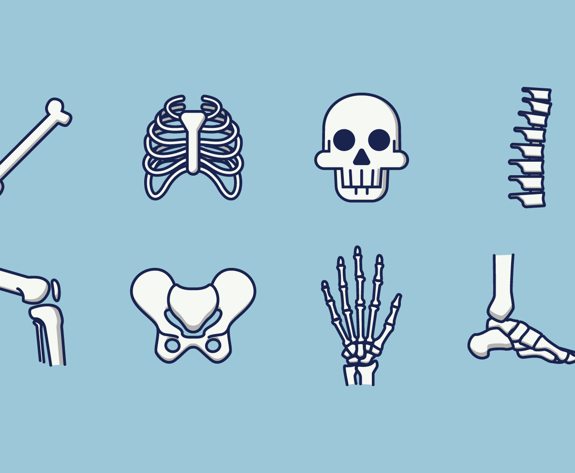 Free Human Skeleton Vector