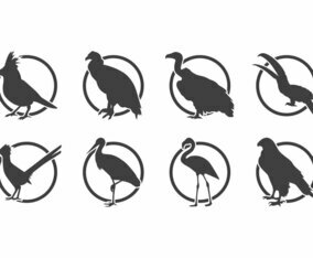Free Bird Silhoutte Logo Vector