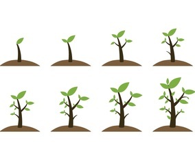 Free Grow Up Plant Icons