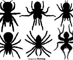 Vector Set Of Tarantula Icons