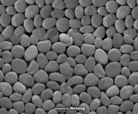 Stone Background Vector