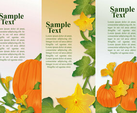 Pumpkin Banners