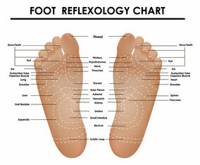 Foot Reflexology Chart