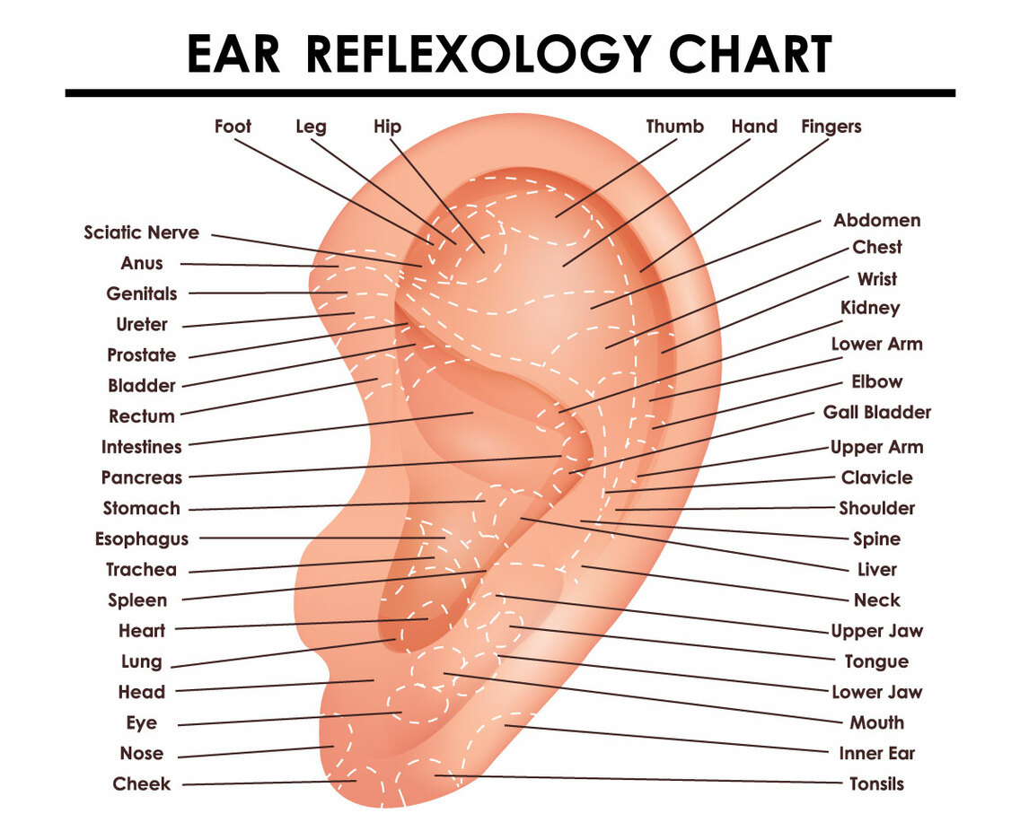 Ear Reflexology Chart