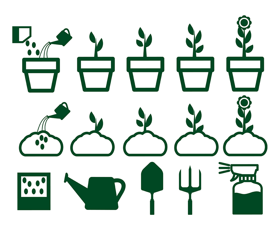 Grow Up Flower Plant Vector