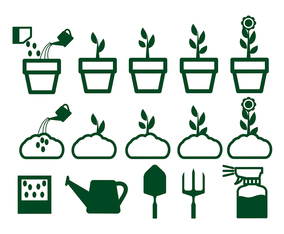 Grow Up Flower Plant Vector