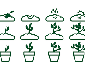 Grow Up Plant Icon Vector 2