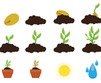 Grow Up Plant Icon Vector