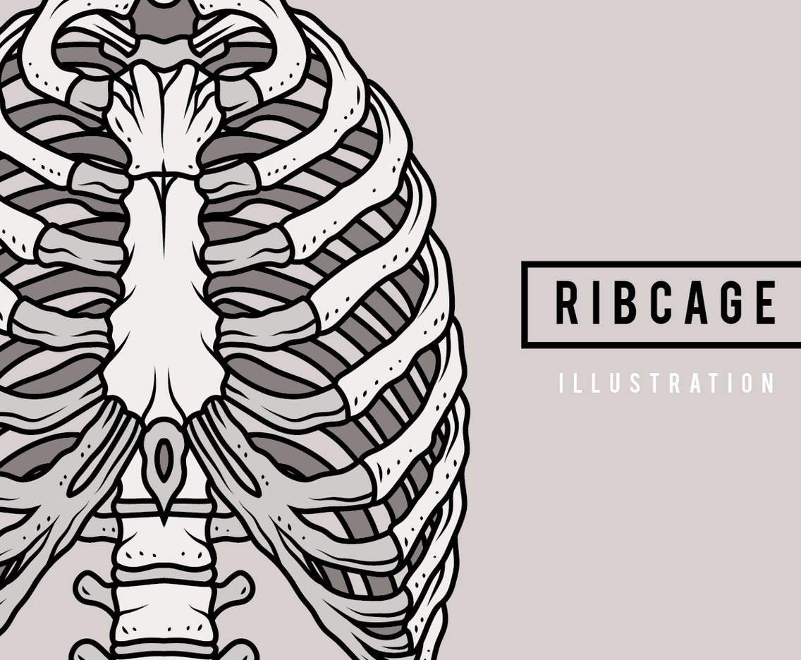 Ribcage Illustration