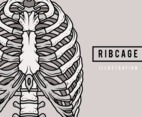 Ribcage Illustration