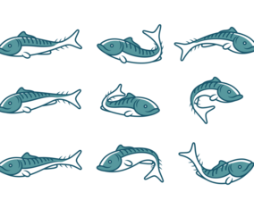 Mackerel Fish Icons