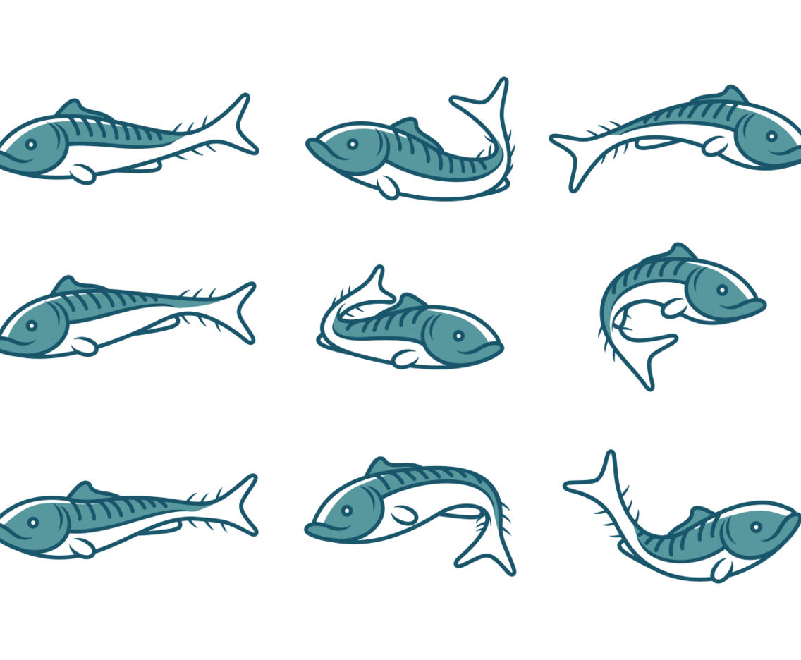 Mackerel Fish Icons