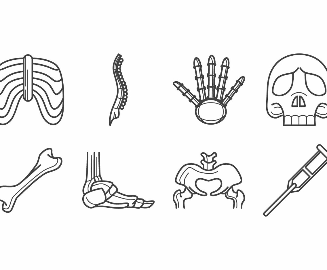 Free Human Bone Icon Vector