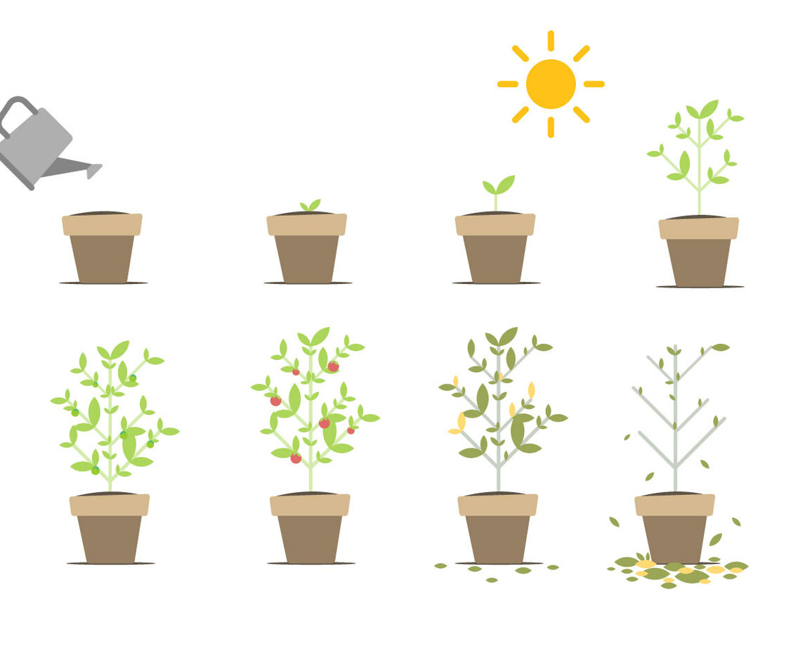 Free Grow Up Vector