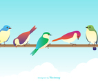 Free Vector Colorful Birds