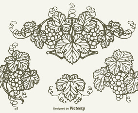 Free Drawn Bunch Of Grapes Vector Design