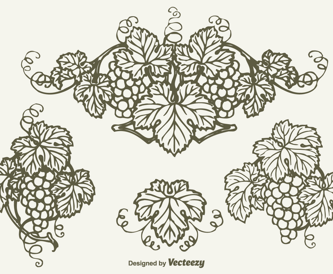 Free Drawn Bunch Of Grapes Vector Design