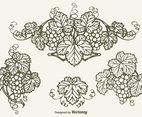 Free Drawn Bunch Of Grapes Vector Design