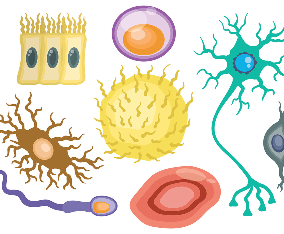 Free Neuron Icons Vector