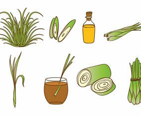 Lemongrass Icon Set