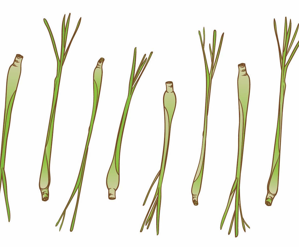 Lemongrass Icon Set