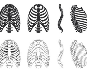 Ribcage Vector
