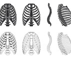 Ribcage Vector