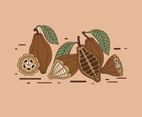 Cocoa Beans Vector