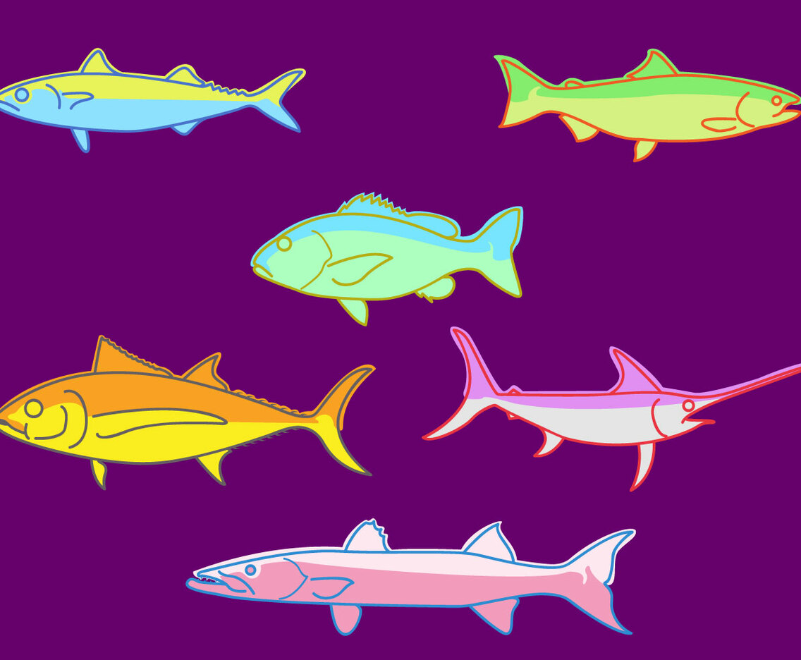 Fishes Illustration Vector