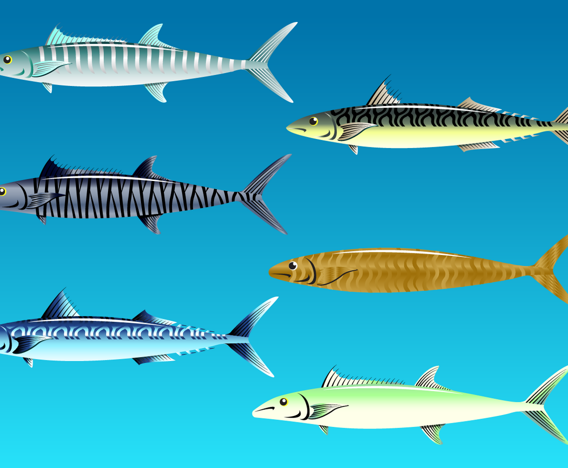 Free Mackarel Vector