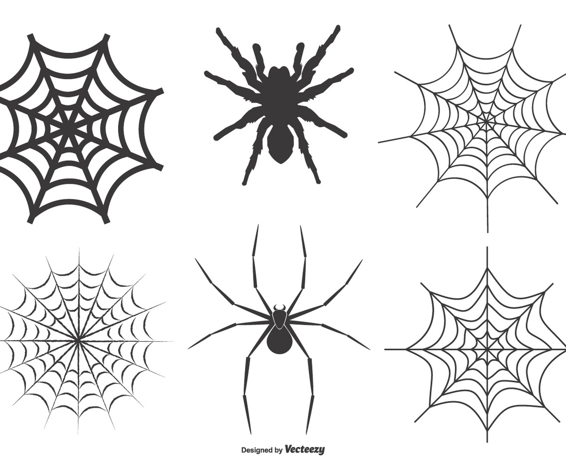 Spiders and Webs Vector Set