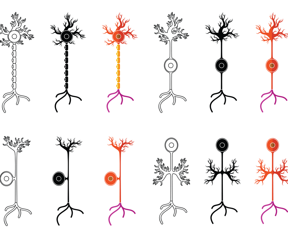 Set Of Neuron Vector