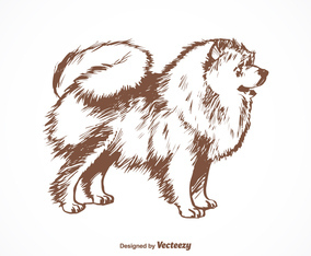 Free Pomeranian Dog Vector Illustration