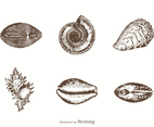 Free Hand Drawn Sea Shells Vector