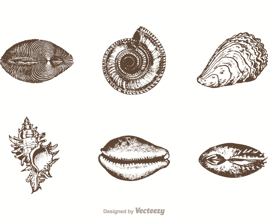 Free Hand Drawn Sea Shells Vector